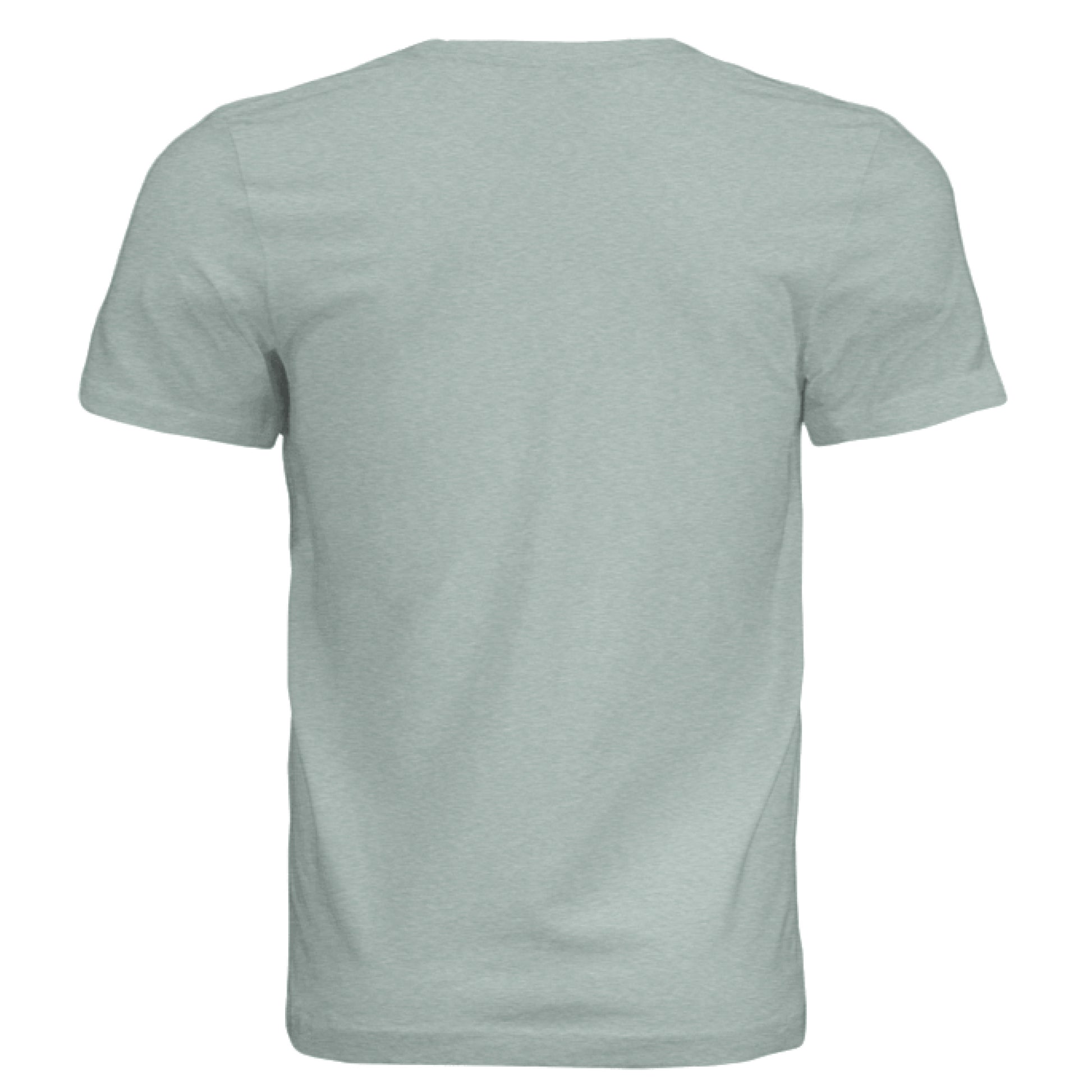 Dusty Blue Triblend - BACK