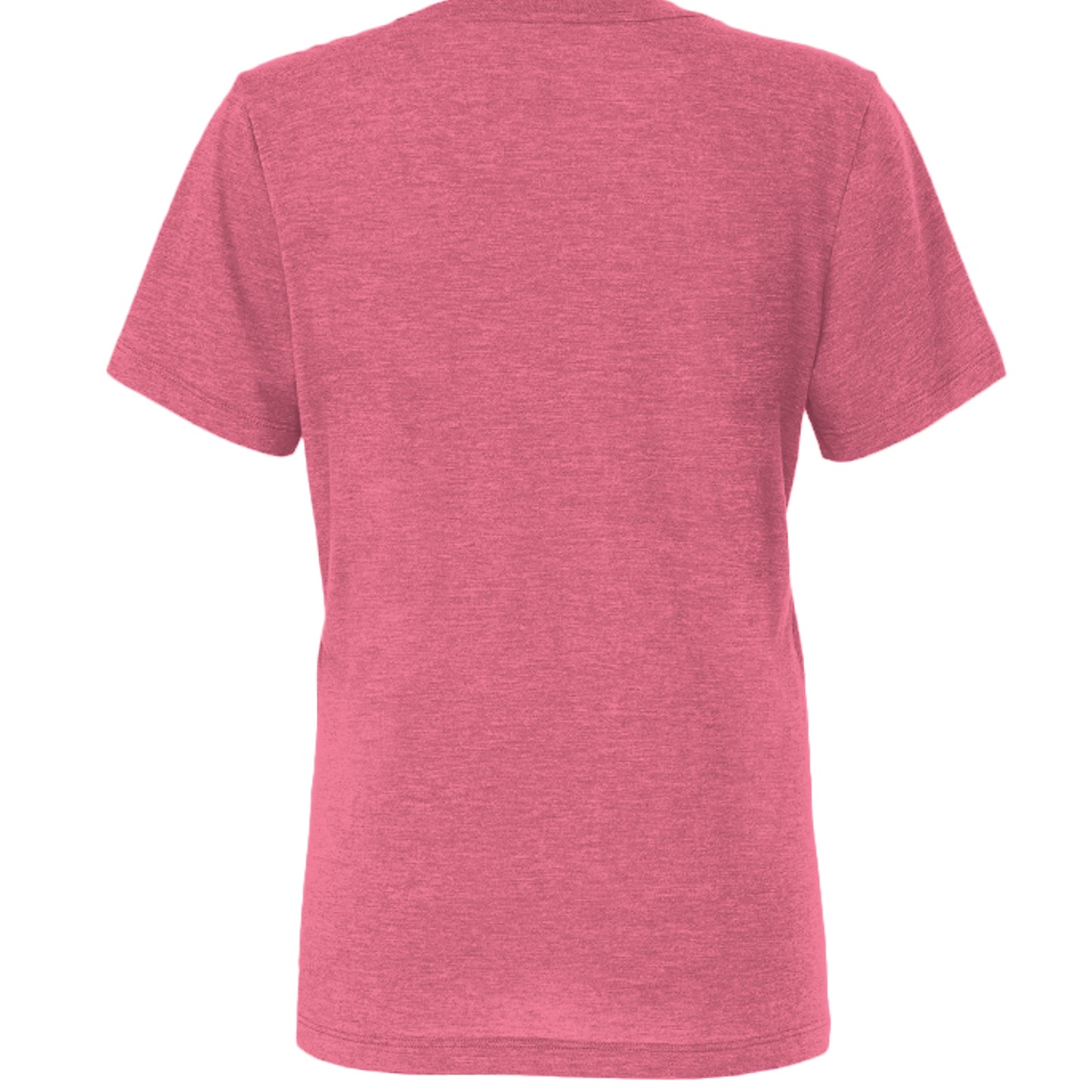 Char Pink Triblend - 6413 - BACK