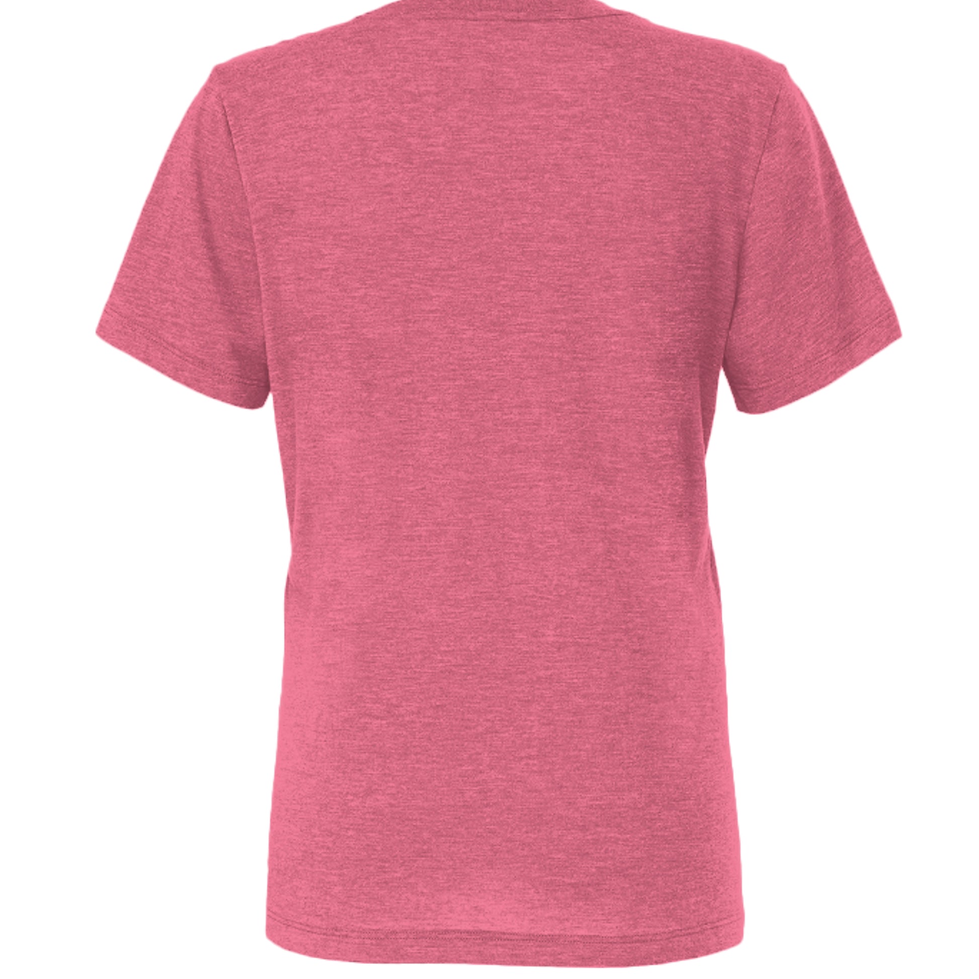 Char Pink Triblend - 6413 - BACK