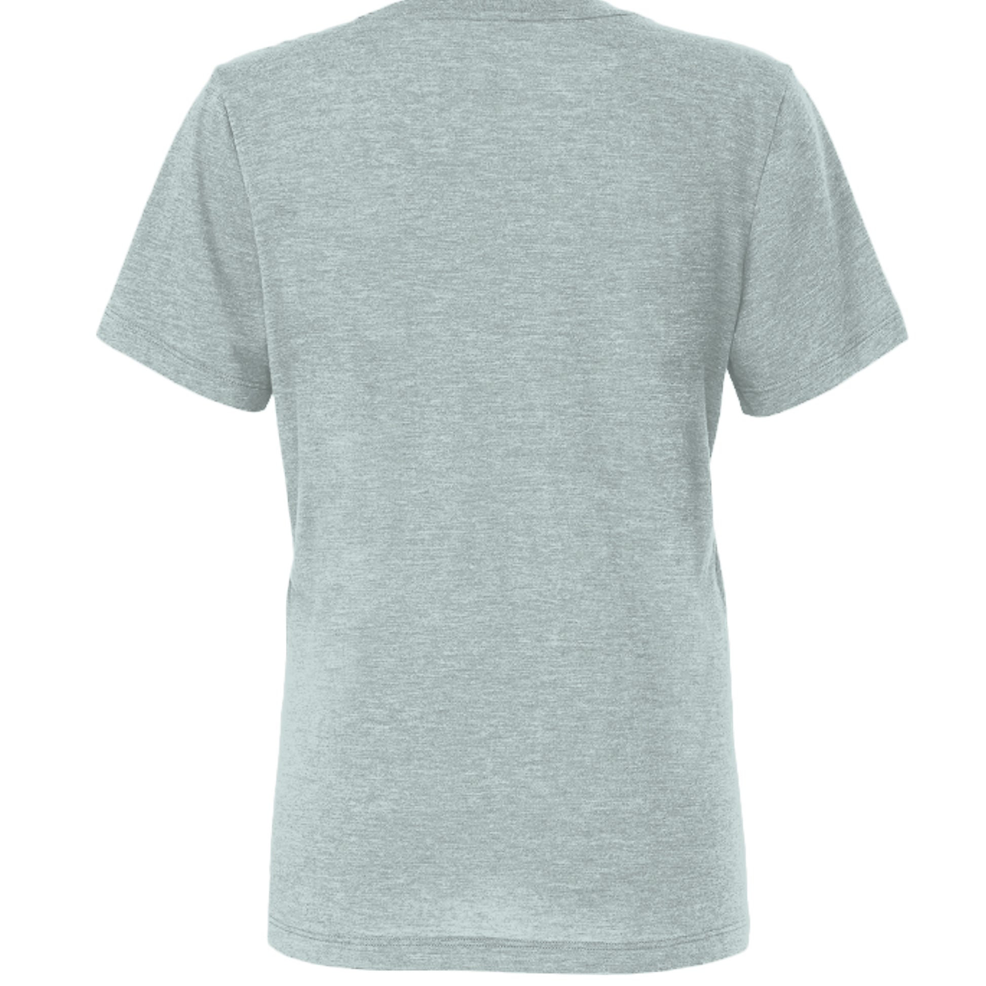 Dusty Blue Triblend - 6413 - BACK