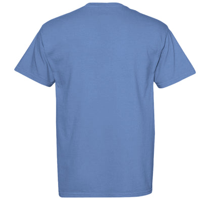 MYSTIC BLUE - C1717 - BACK